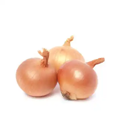 পেঁয়াজ
